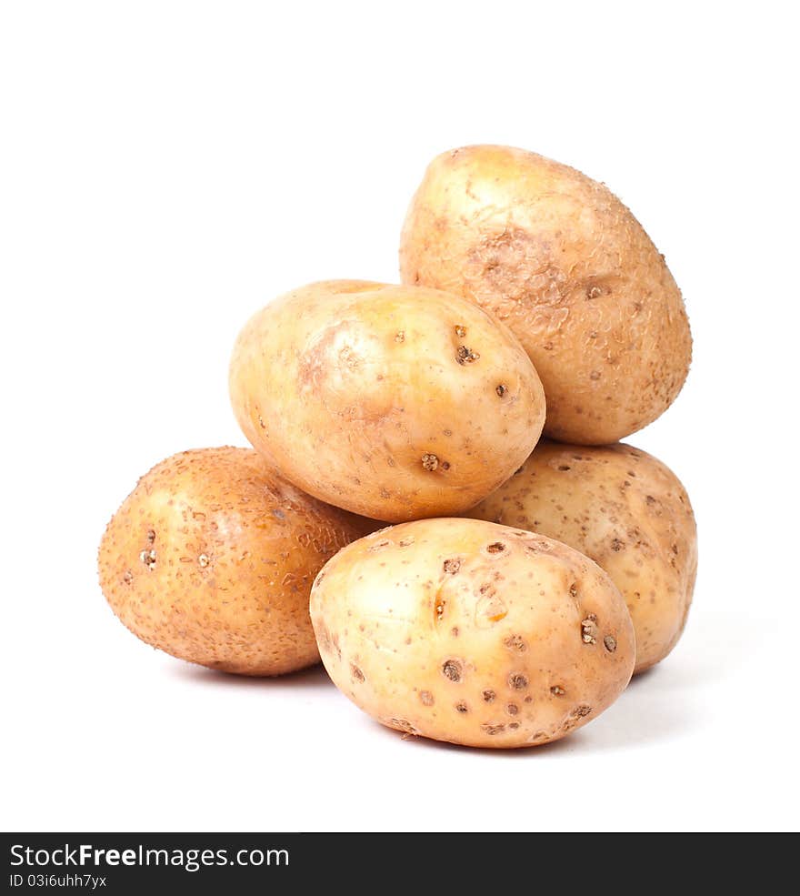 Yellow potato group