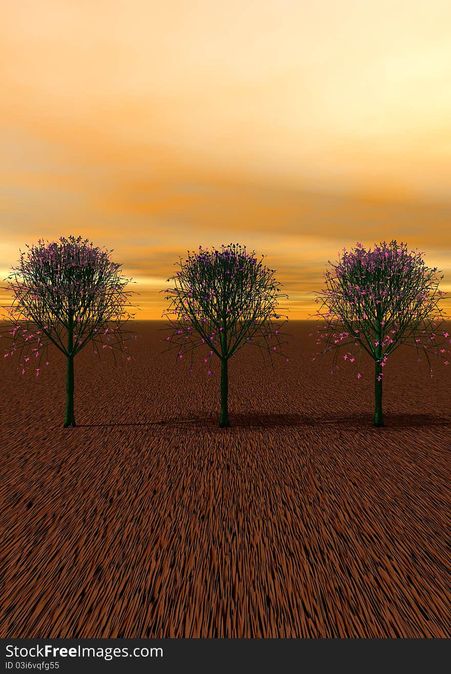 Landscape Trees