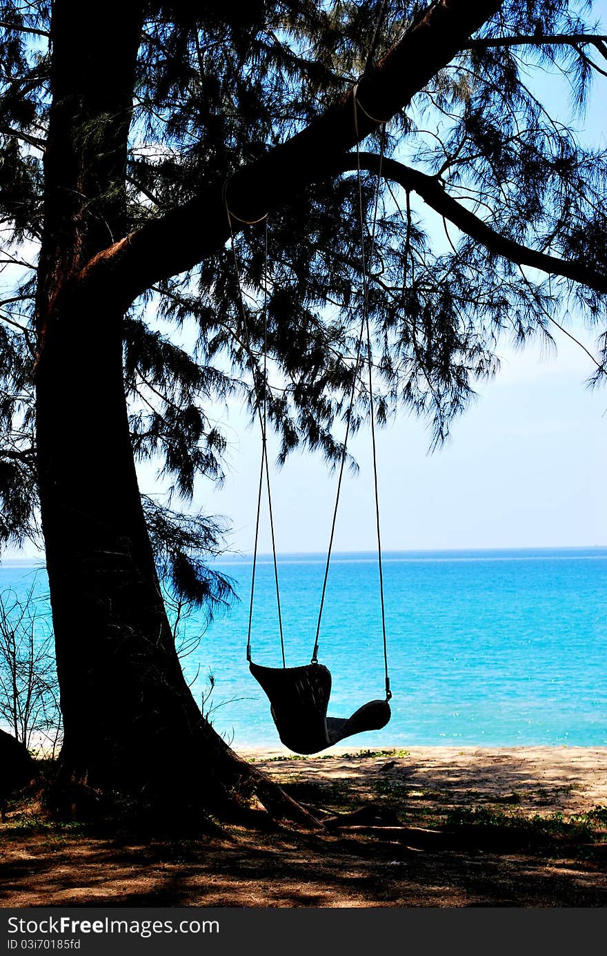 The swing