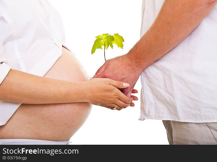 Pregnant woman with man and small plant. Pregnant woman with man and small plant