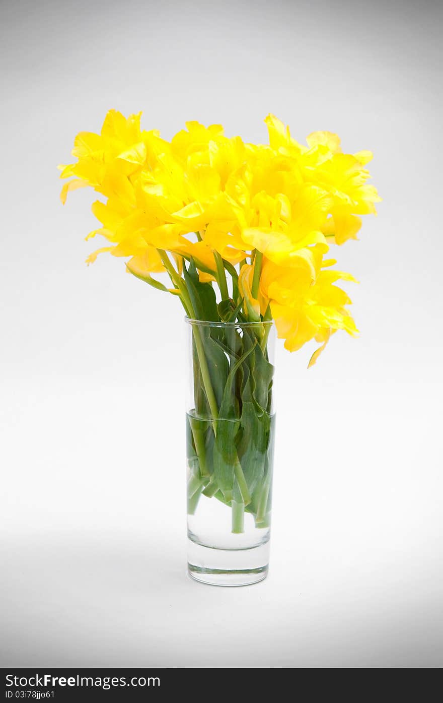 Flowers in a glass vase. Flowers in a glass vase