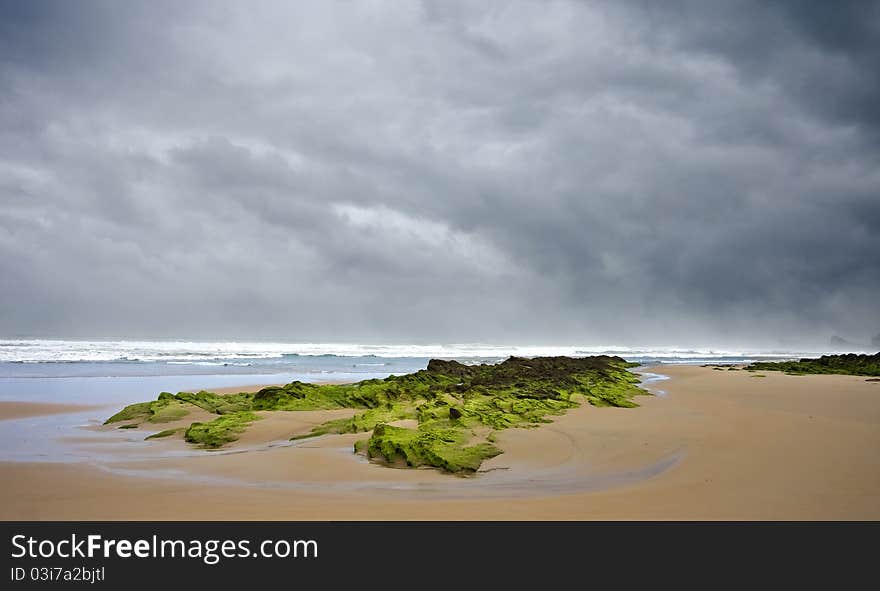 Green In Beach