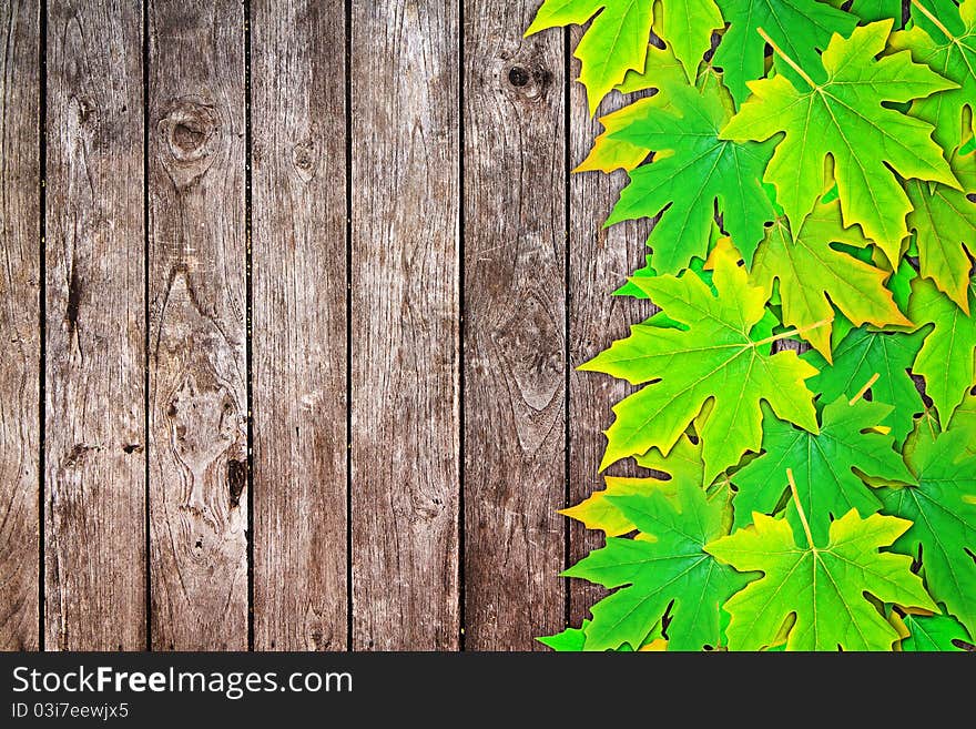 Fresh Spring Autumn Leaves Border And Wooden Wall