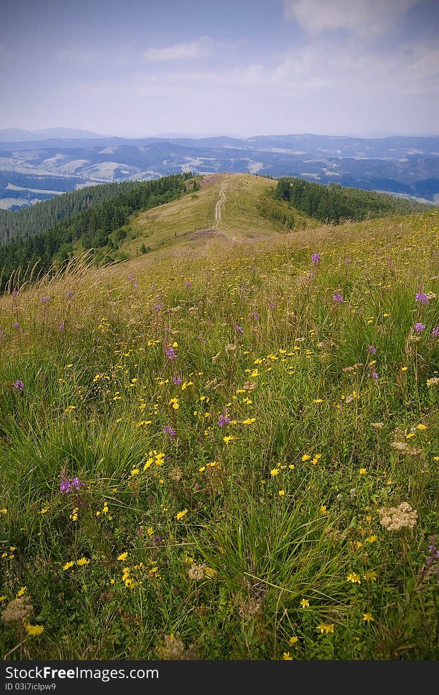 Carpathian mountains