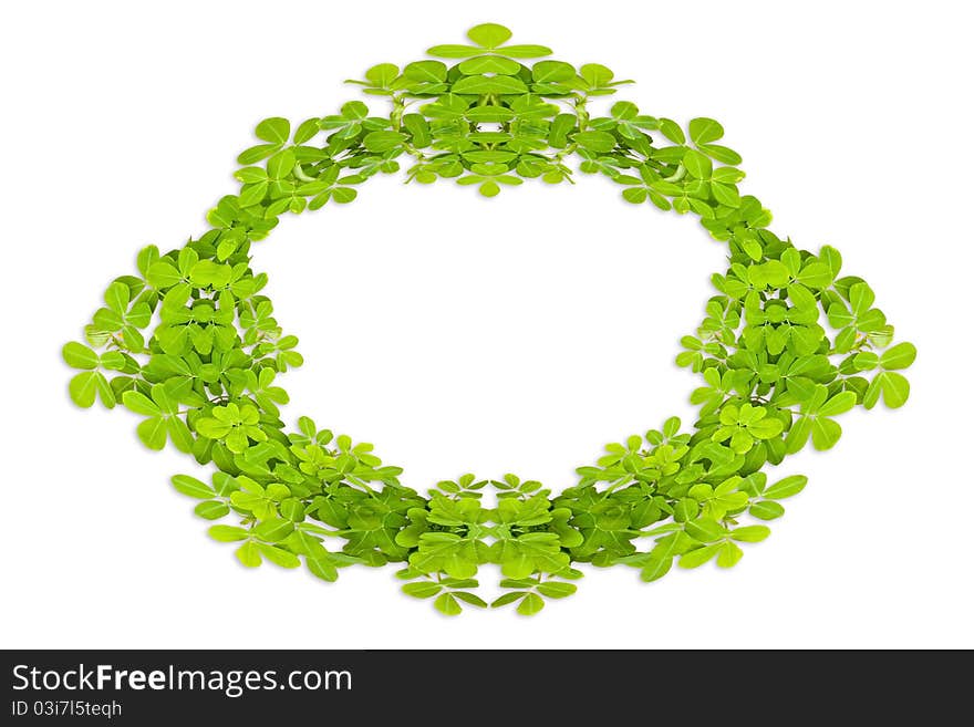 Frame of bamboo-leaves isolated on a white background. Frame of bamboo-leaves isolated on a white background.