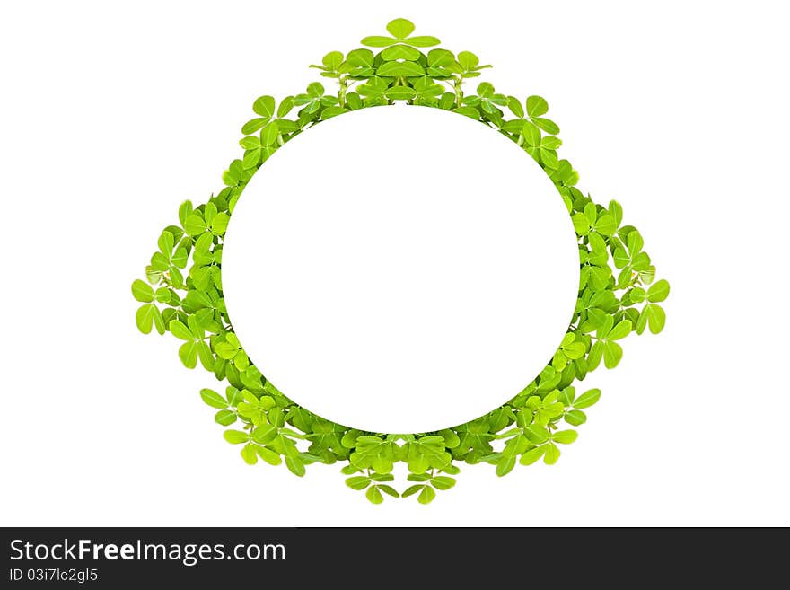 Frame of bamboo-leaves isolated on a white background. Frame of bamboo-leaves isolated on a white background.