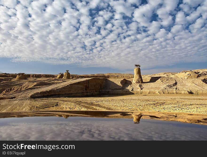 The shot was taken in Arava (Israel) valley next day after a tropical rain. The shot was taken in Arava (Israel) valley next day after a tropical rain