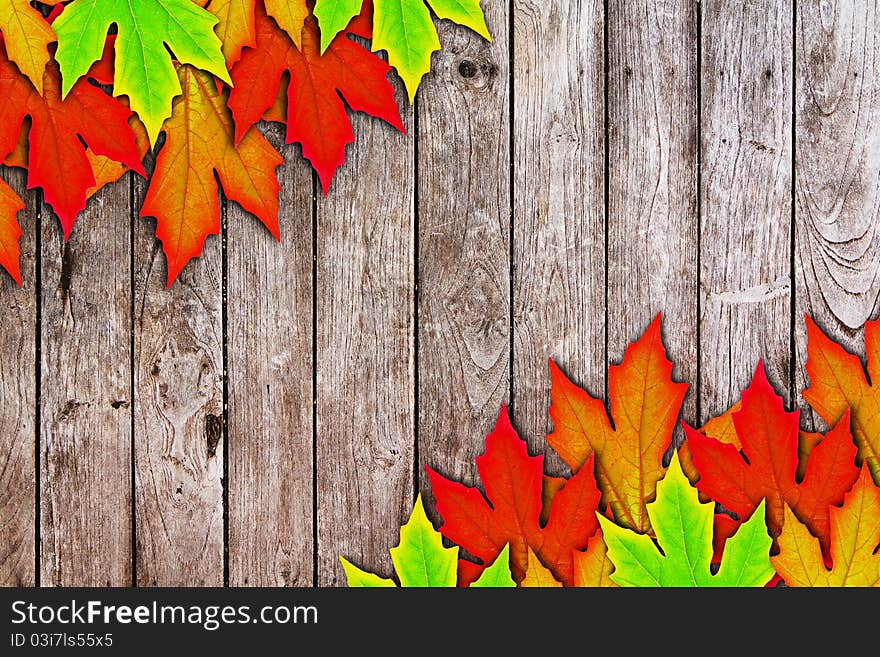 Fresh Spring Autumn Leaves border and wooden wall