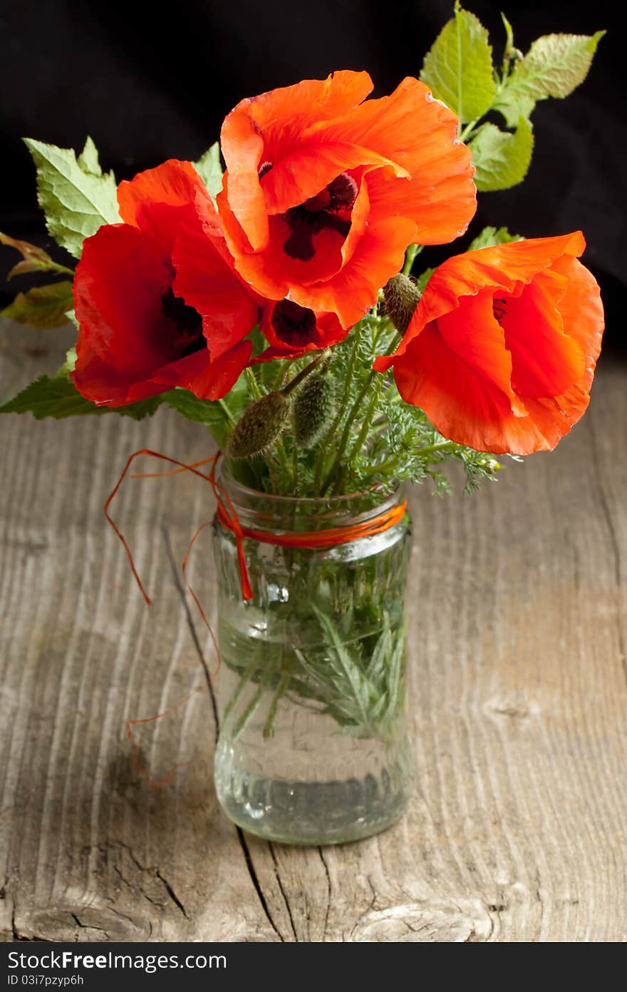 Red poppy flower in glass jar