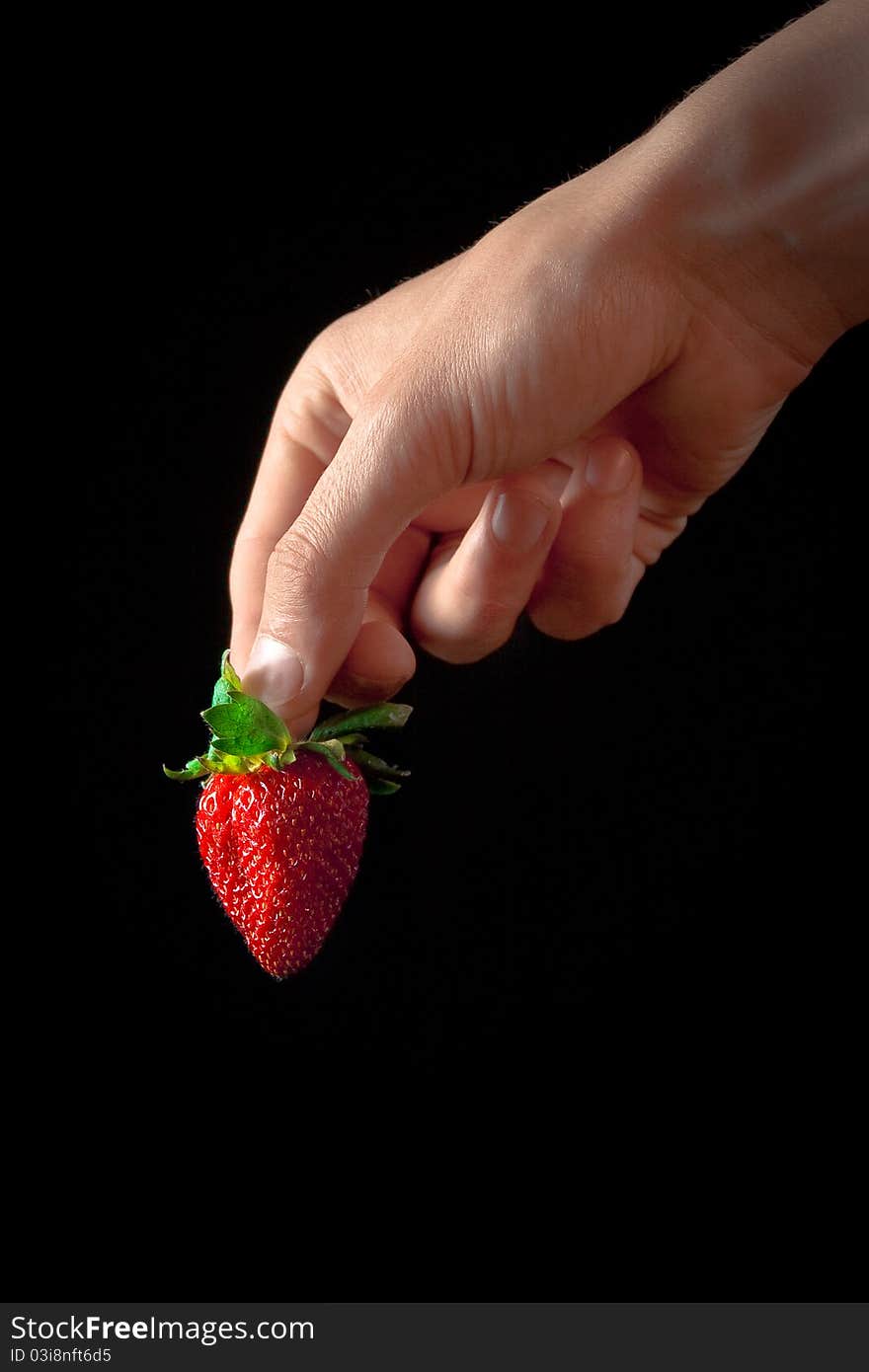 Hand with red strawberry isolated on black. Hand with red strawberry isolated on black