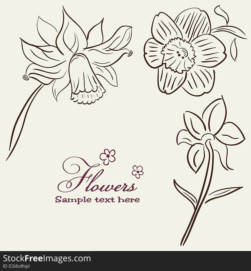 Vintage Flower background. Vector illustration