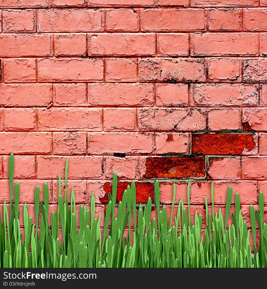 Red brick wall with green grass