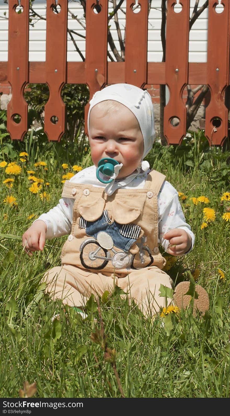 The little girl sits at a window and plays with a camomile flower