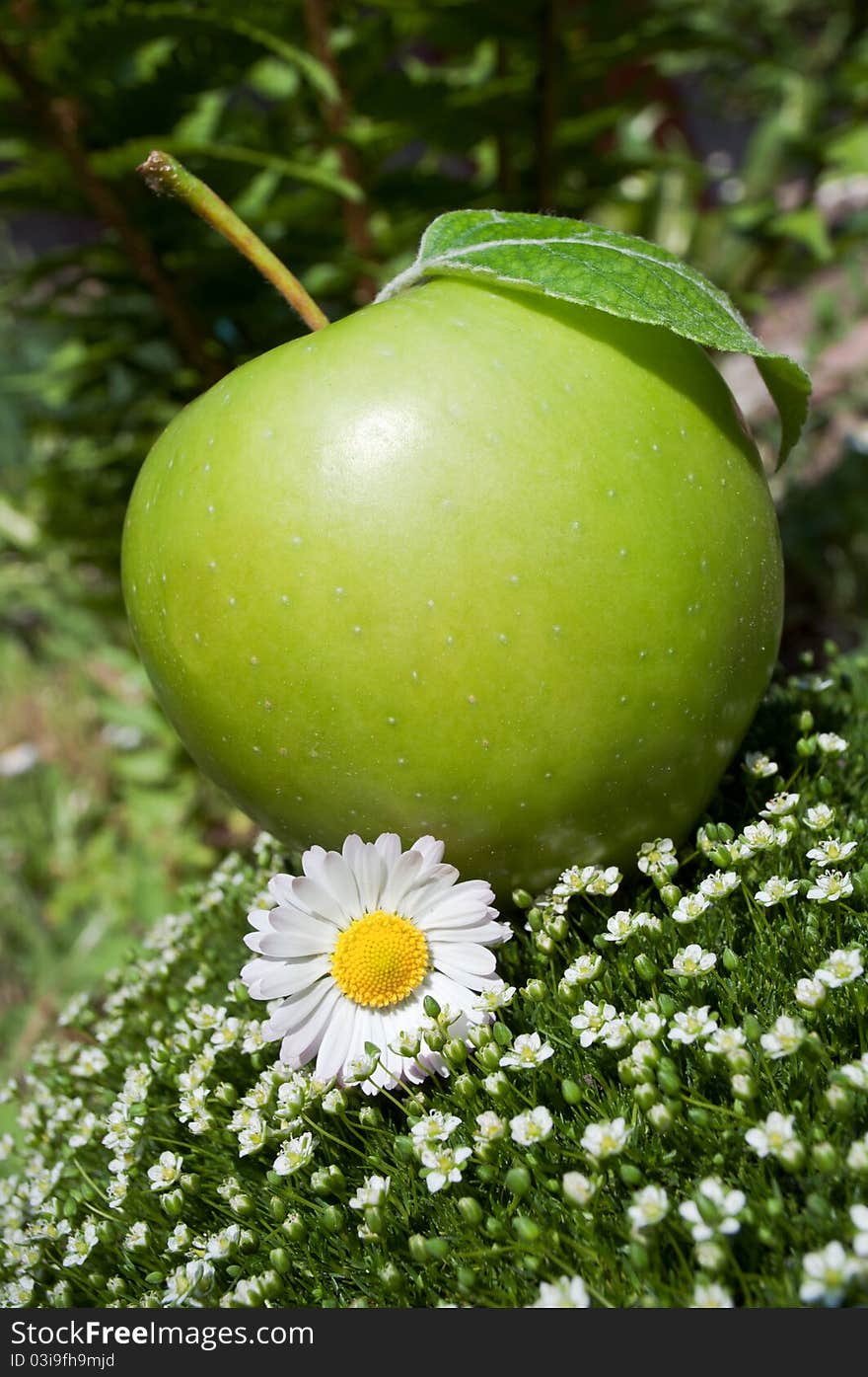 Green apple and camomile on a grass