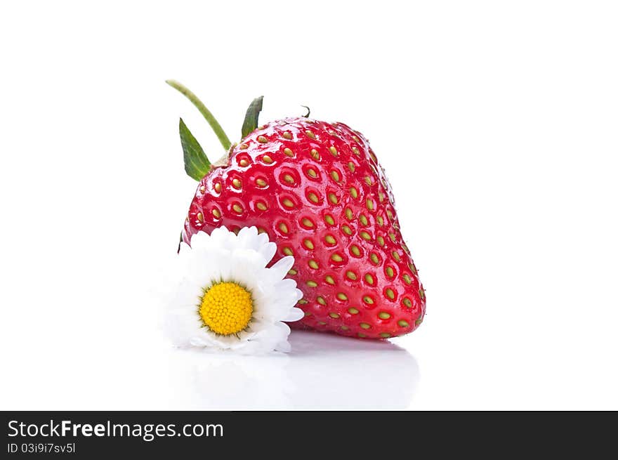 Fresh strawberry and camomile isolated on a white background.