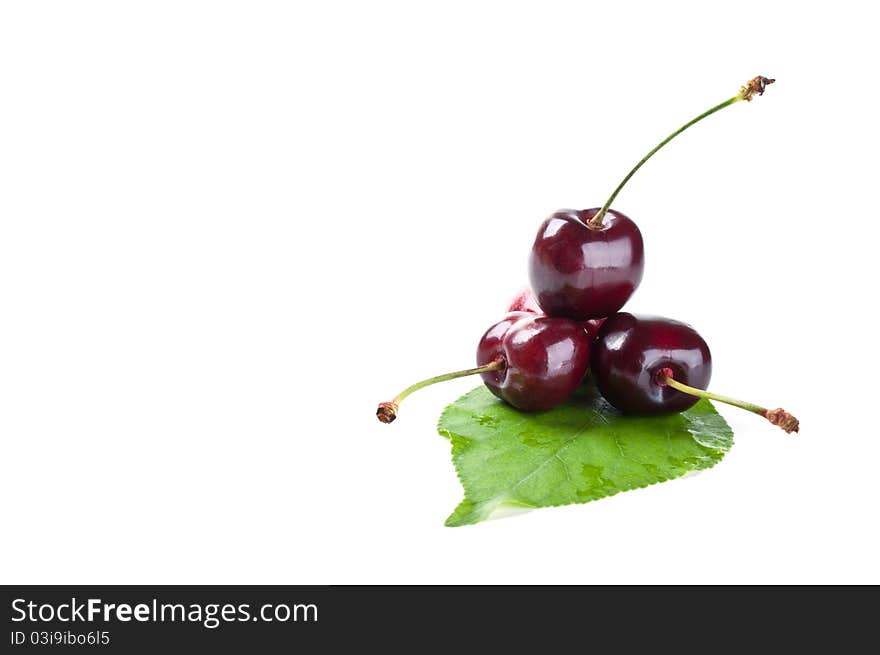 Three cherries and leaf isolated on a white background