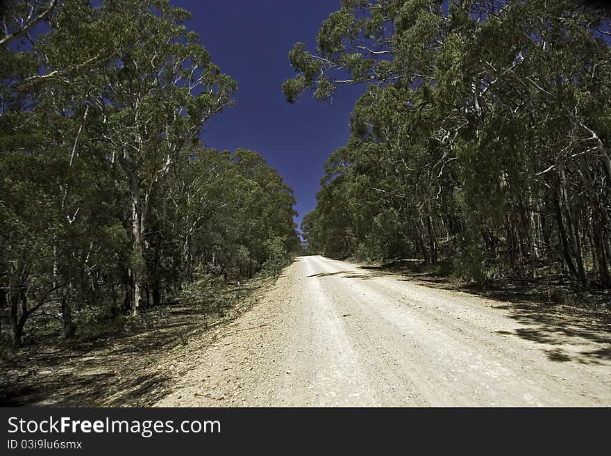 Dirt track road Australia Blue Mountains NSW