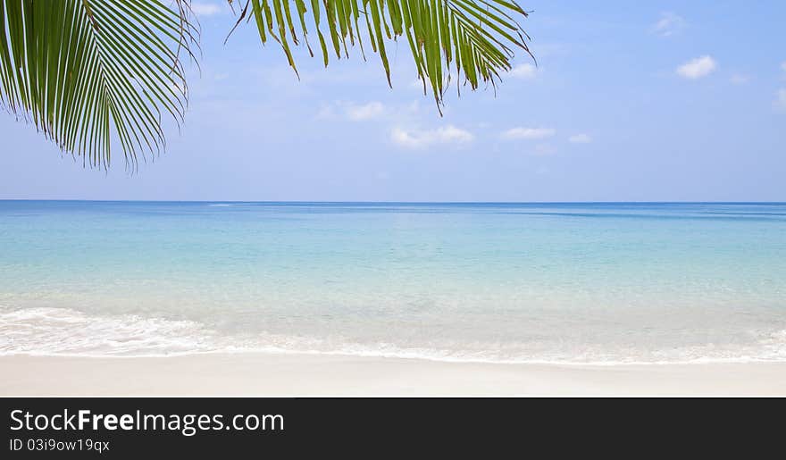 Fragment like View of nice tropical coast with some palm. Fragment like View of nice tropical coast with some palm