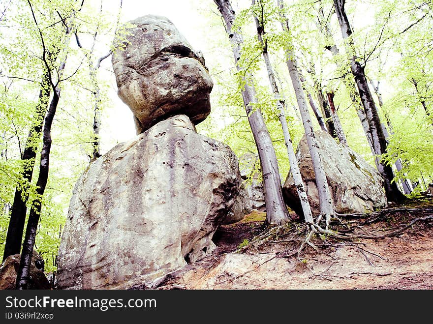 Fabulous stones in the forest