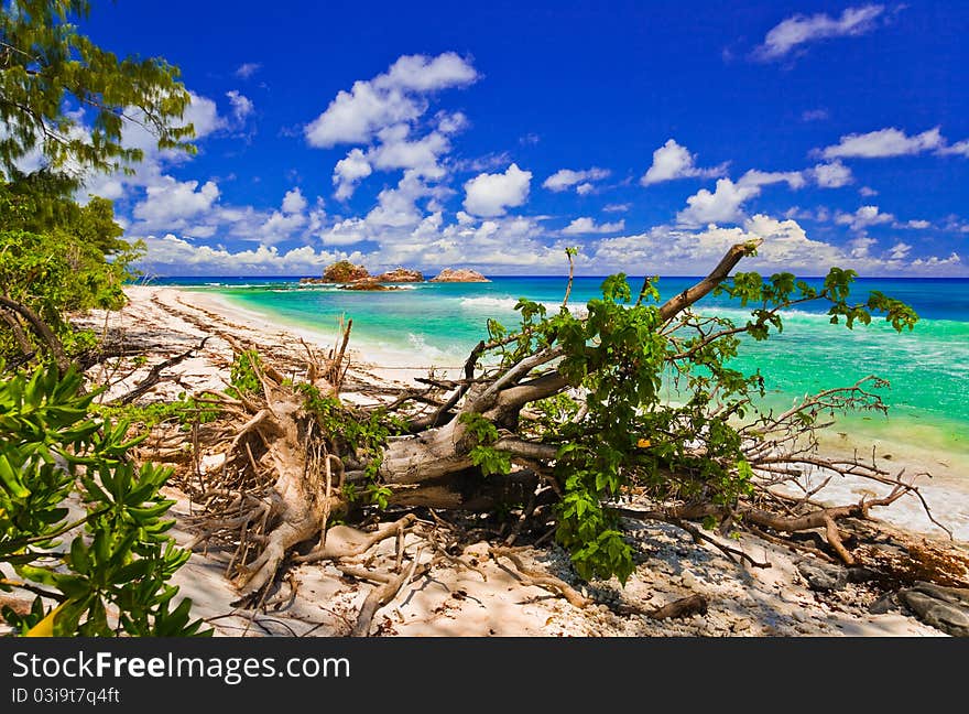 Tropical beach at Seychelles