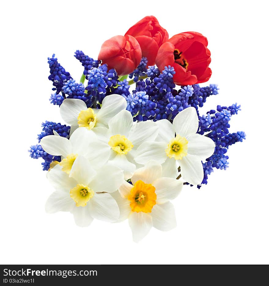 Beautiful bouquet of spring flowers on a white background. Beautiful bouquet of spring flowers on a white background.