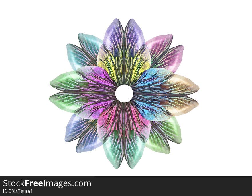 Insect wings create a multi-colored flower. Insect wings create a multi-colored flower