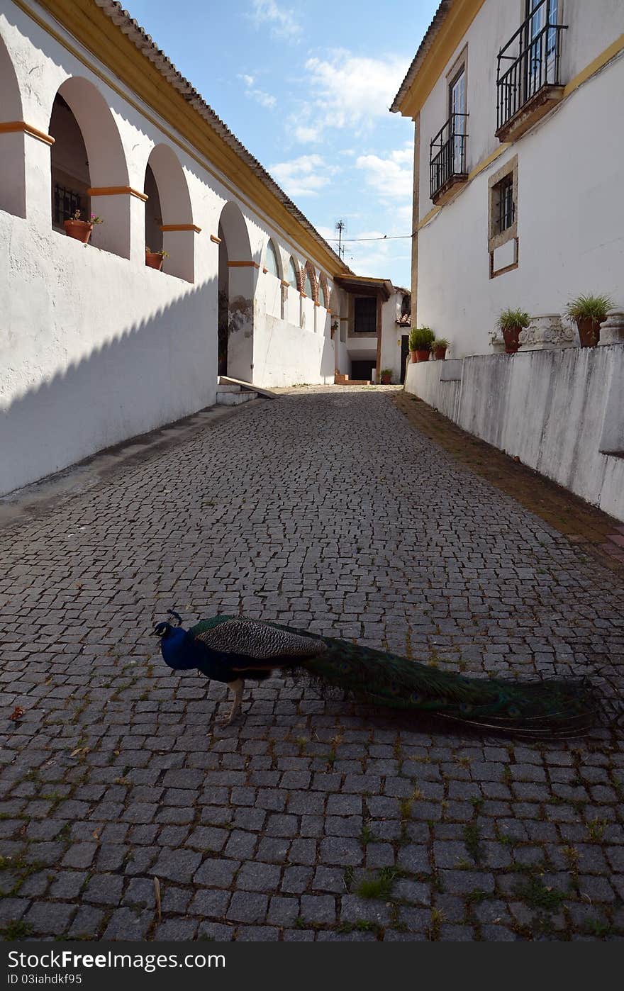 Close up of architectural detail of portuguese traditional house. Close up of architectural detail of portuguese traditional house