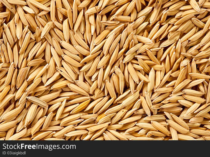 The texture of paddy, use as background