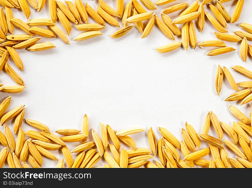 Paddy frame on white background