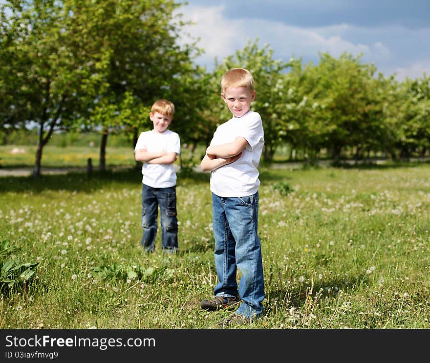 Two twin brothers outdoors on the grass. Two twin brothers outdoors on the grass