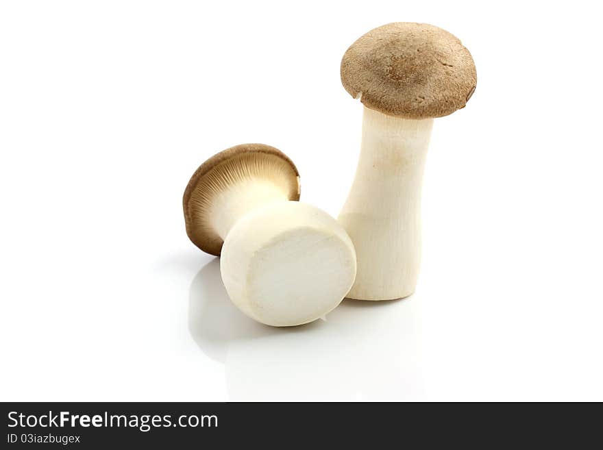 Eryngii mushroom isolated in white background thank for your support