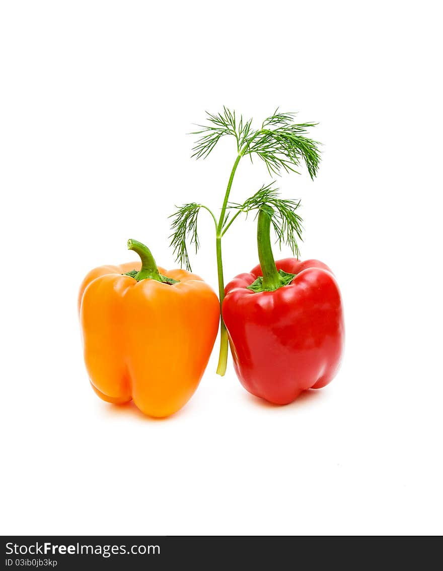 Sweet peppers of different colors and a branch of fennel on a white background. Sweet peppers of different colors and a branch of fennel on a white background