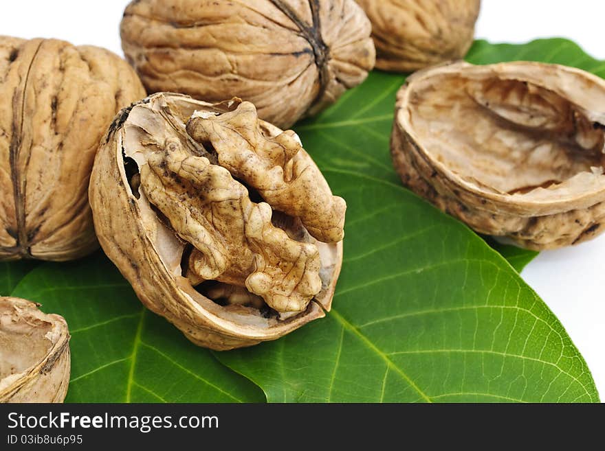 Walnuts and leaves