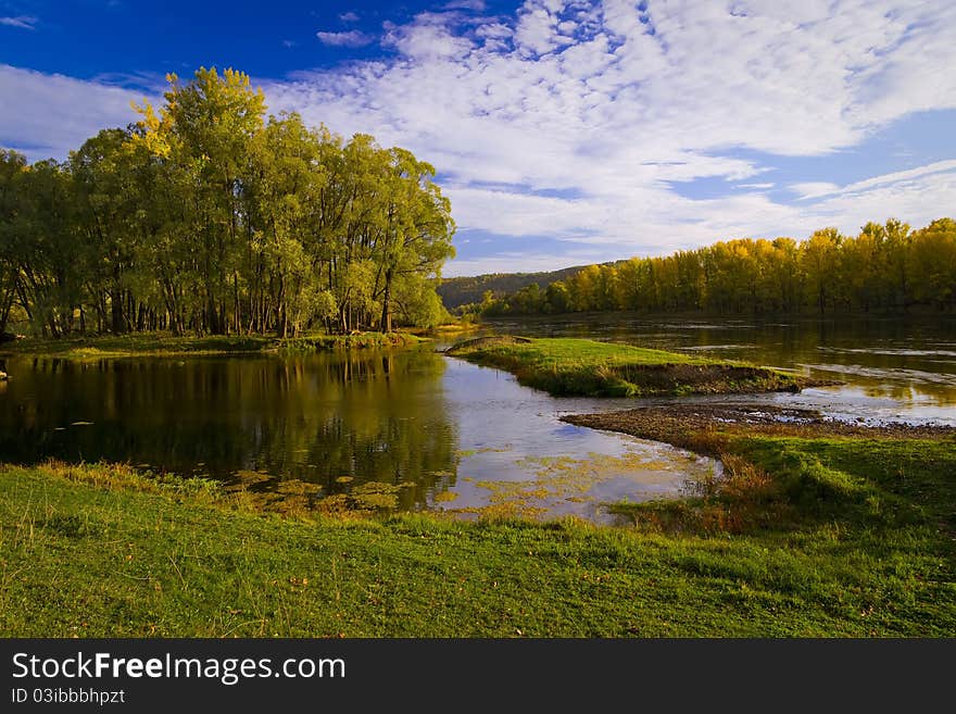 Little island with forest by river. Little island with forest by river