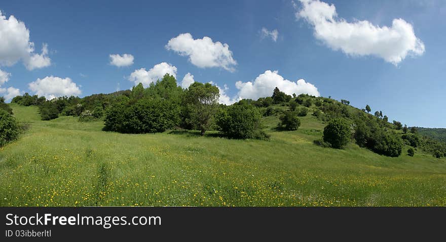 Summer Landscape in high mountain