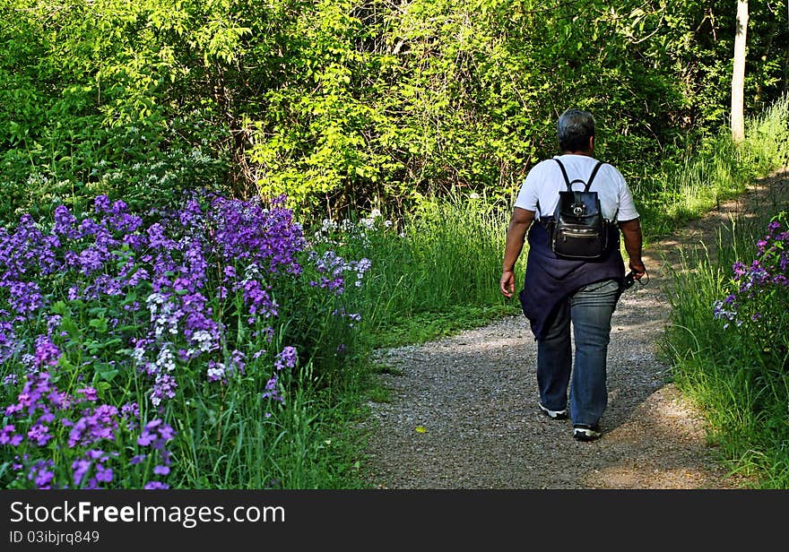 A path leading into an Ontario forest. A path leading into an Ontario forest