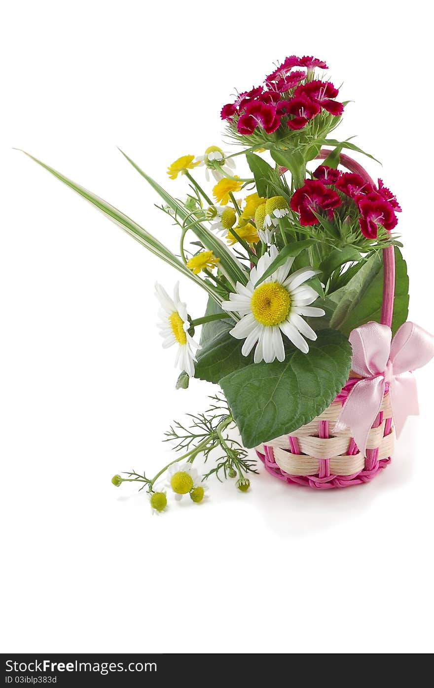 The wattled basket from a rod with natural flowers is isolated on a white background