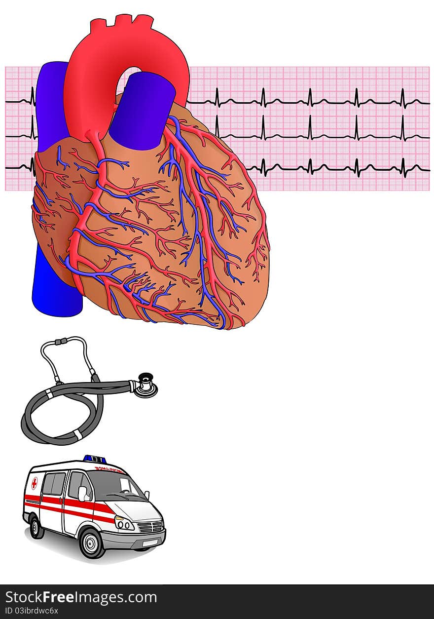 Human heart, ambulance car, stethoscope, and electrocardiogram on the white, illustration. Human heart, ambulance car, stethoscope, and electrocardiogram on the white, illustration