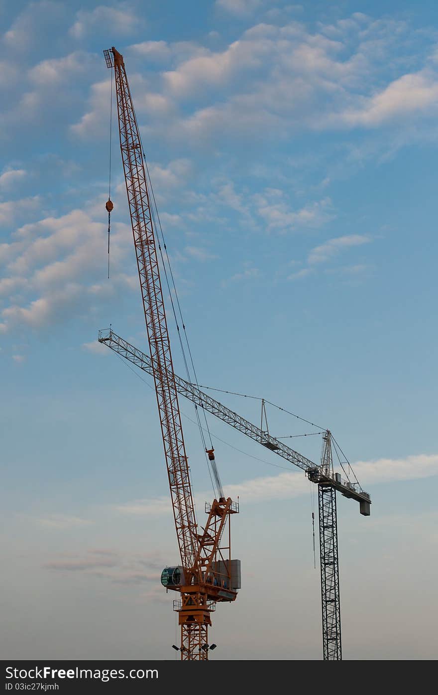 Two Cranes in the Evening