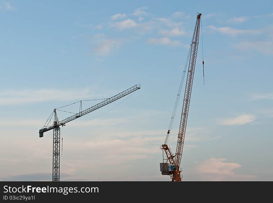 Two Cranes in the Evening