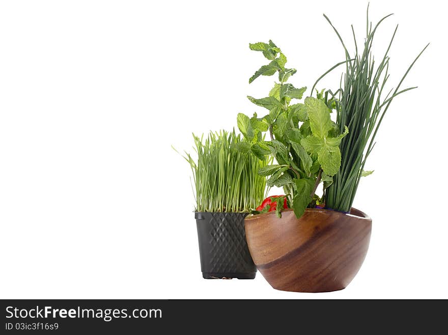 Healthy green food isolated on a white background.