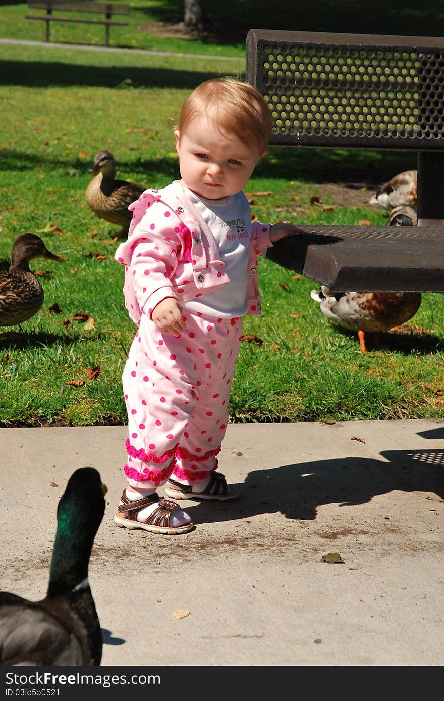 A toddler stares at a duck in the park on a sunny California day. A toddler stares at a duck in the park on a sunny California day.