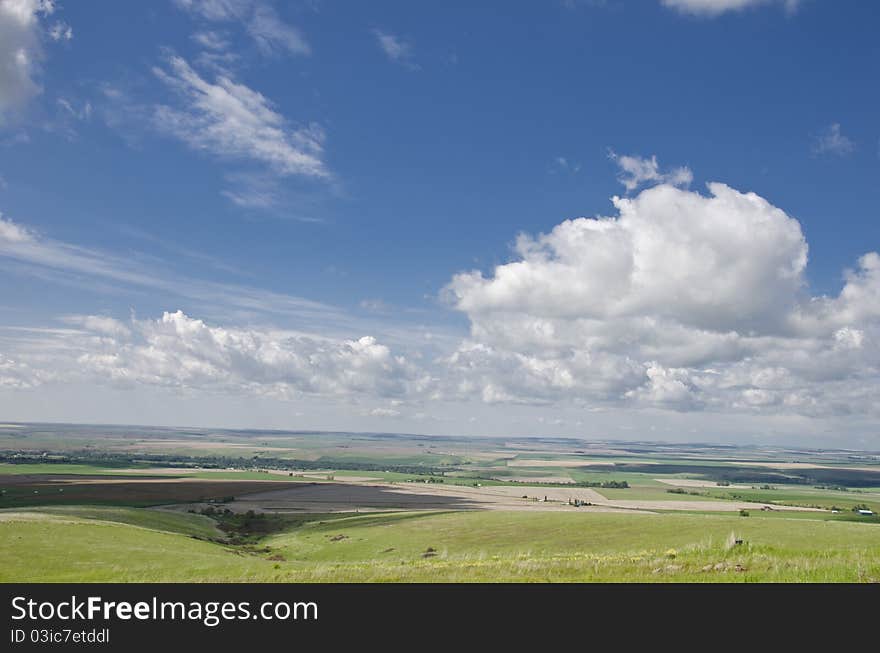 Wheat fields and hills