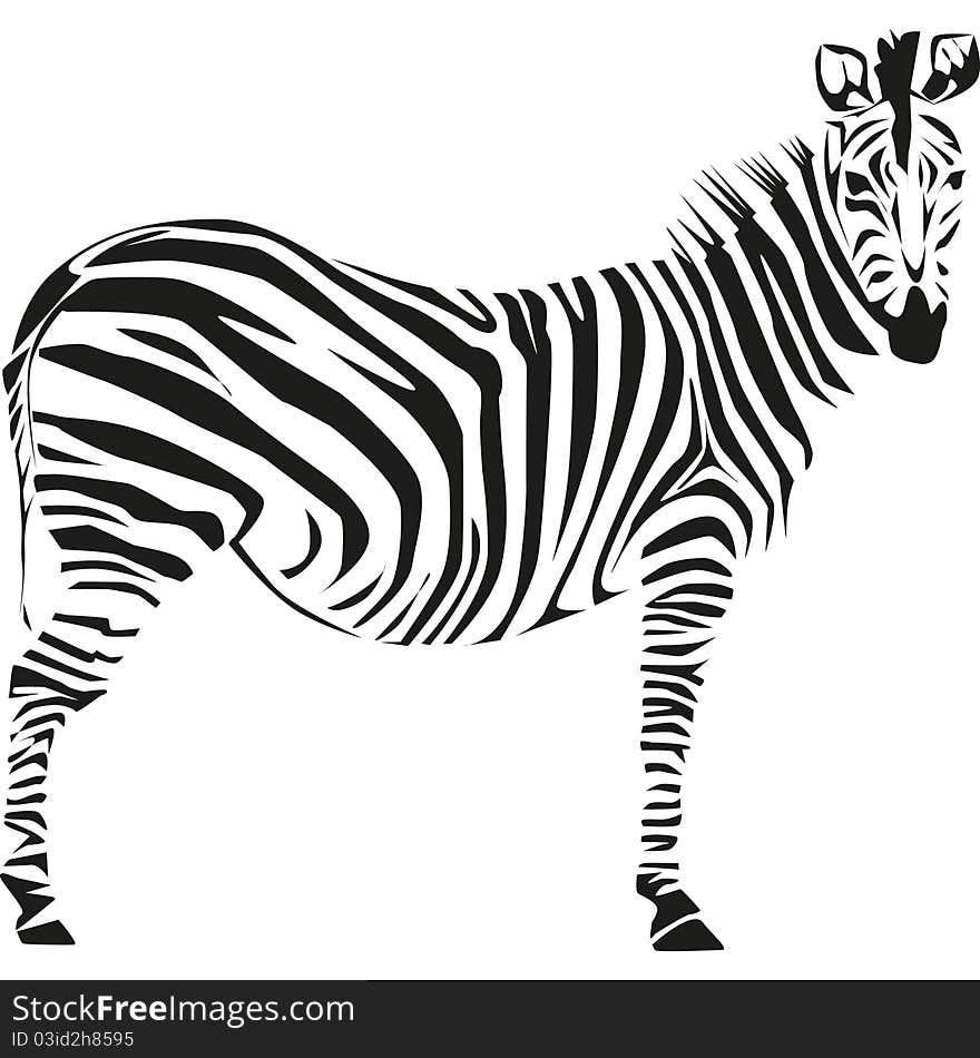 Drawing of a zebra