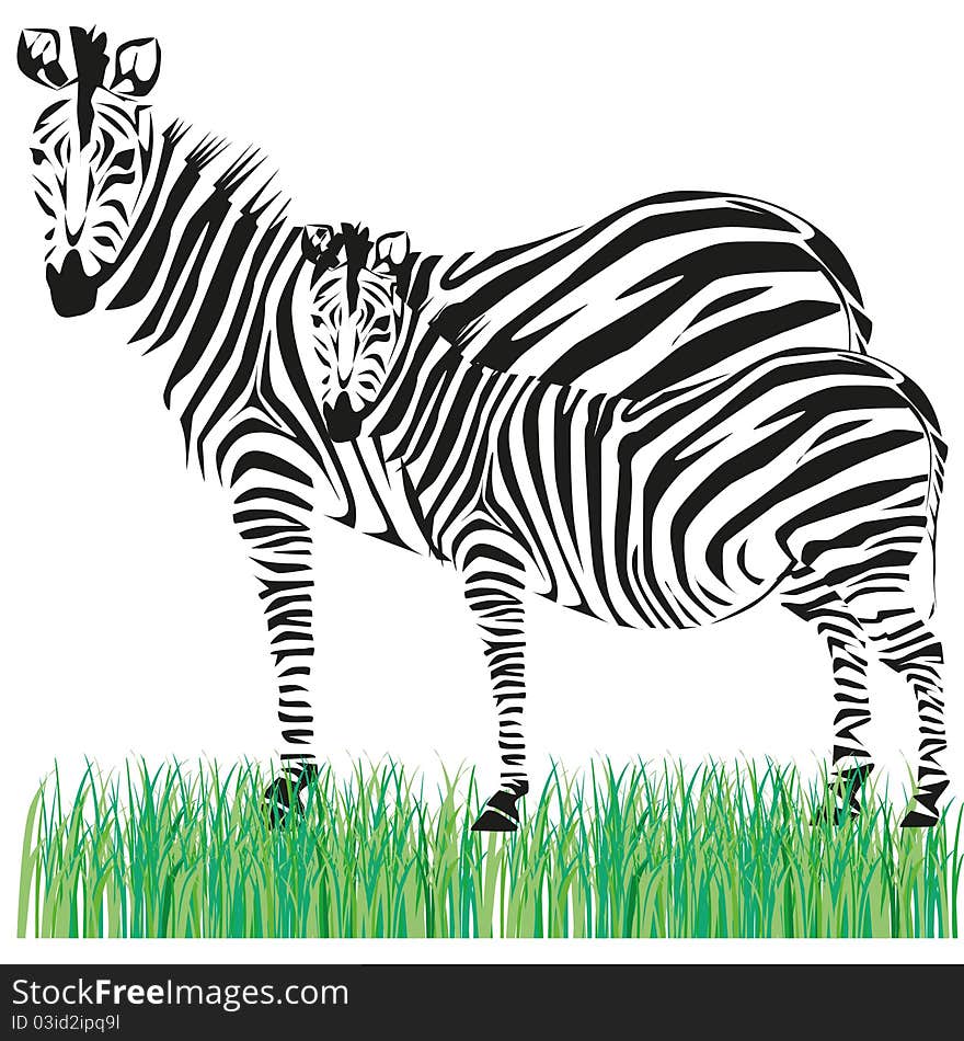 Drawing of a zebra on the African savannah