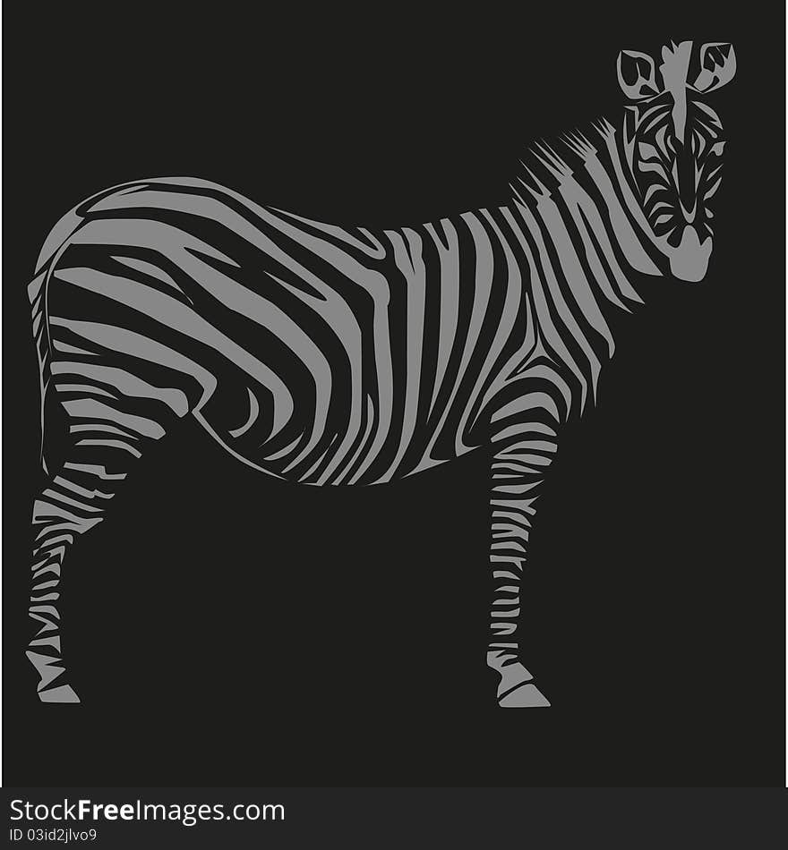 Drawing of a zebra on the African savannah