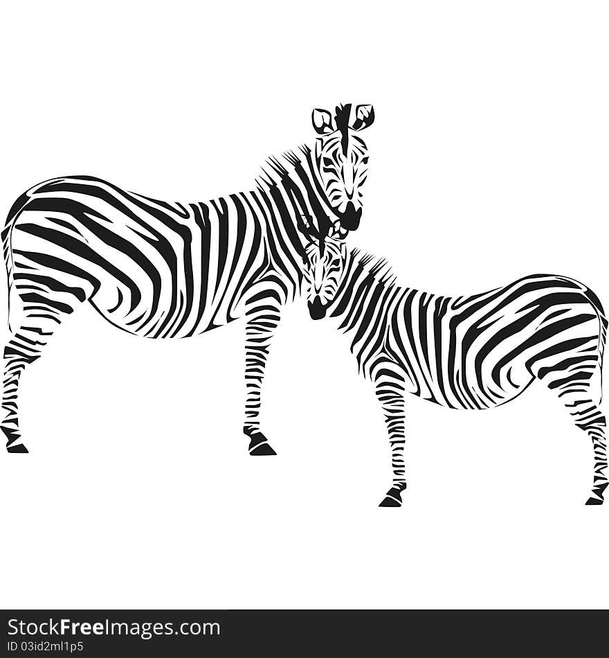 Drawing Of A Zebra