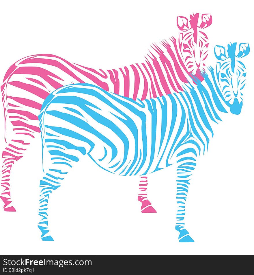 Drawing Of A Zebra