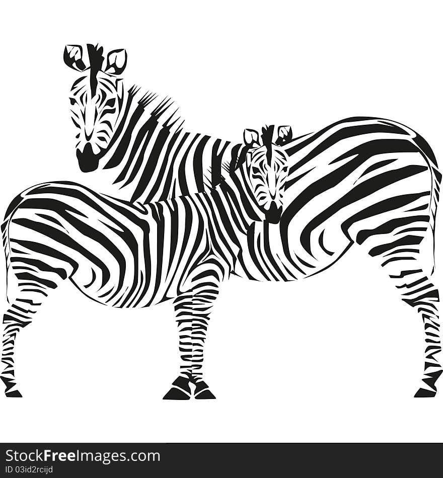 Drawing of a zebra