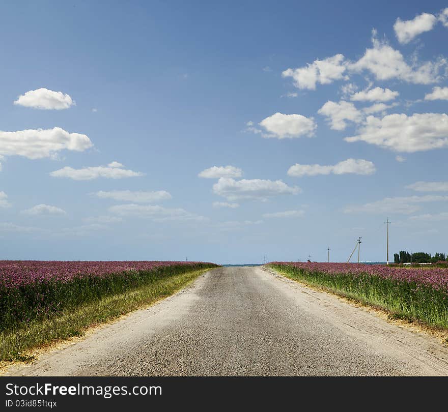 Country road among fields on a background of clear sky